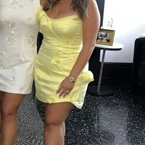 Zimmerman matchmaker rose mini dress